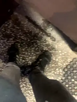 firefoxfeel webcam show