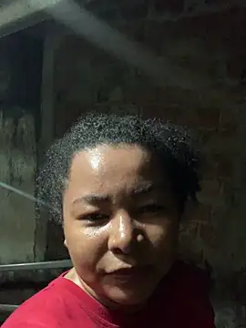 Alexa-Prins 网络视讯表演