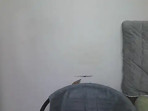 Chat +18 de AlphaLatinoBear ao vivo