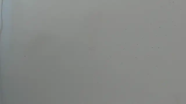 Chat +18 de Jacob_Benelli ao vivo