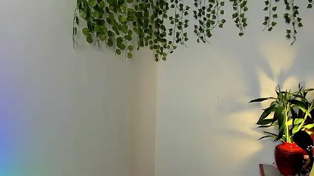 Czat XXX na żywo – Ariana_Spring