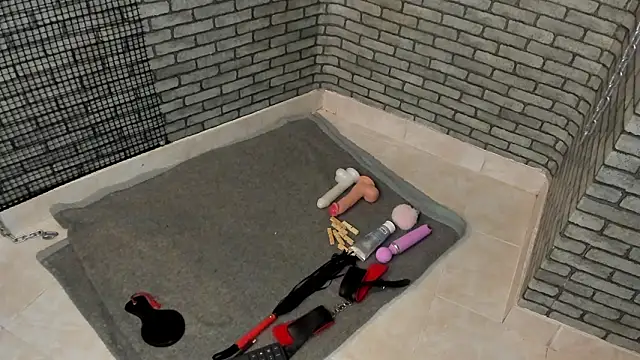 Chatroom XXX en direct de hillary_bigbutt