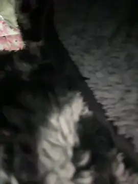 daaqnn: онлайн-секс-чат