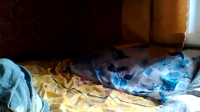 SquirrelFine's Live XXX Chat