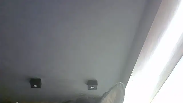 SkinnyKitten 网络视讯表演