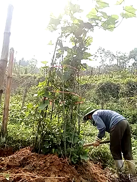 ngan-cute Chat XXX in diretta