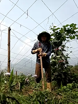 ngan-cute Chat XXX in diretta