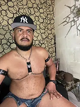 Show de the_master_foal_ na webcam