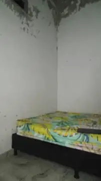 David_tatto1 Chat XXX live