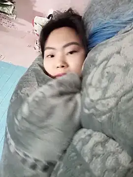 Lynk2x 网络视讯表演