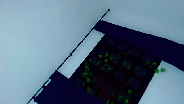 Chat +18 de laaura_dolll ao vivo