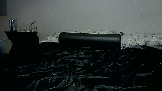 Show Webcam de timothygonterman