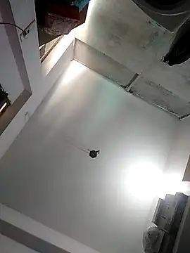 Stallion011 Webcam-Show