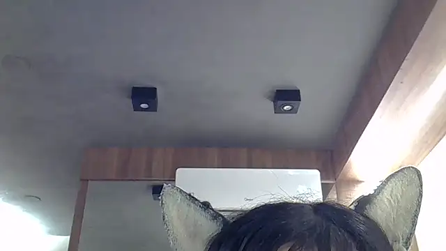 SkinnyKitten Webcam-Show