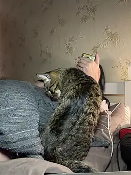 دردشة Naughtbaby_2025 الجنسية المباشرة