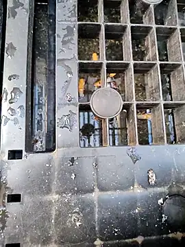 Hgay6935n Webbikameraesitys