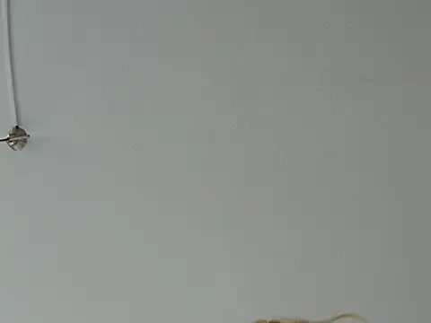 rubdream Show Webcam