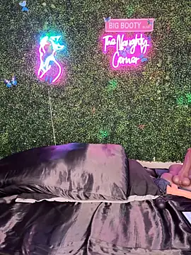 RenaThickAss' Webcam Show