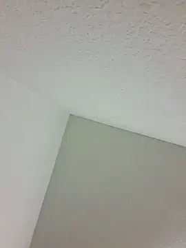 PrincessP8989's Live XXX Chat