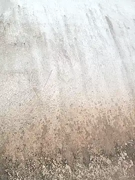 Show Webcam de linda_bae00