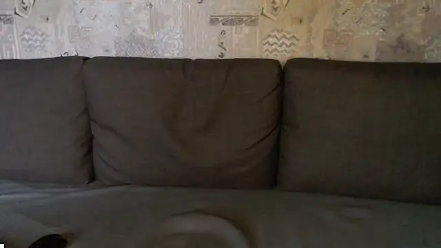 Chat XXX Live Student_Oliver