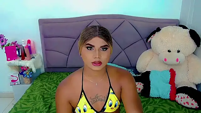 party_duo_trans 웹캠 쇼