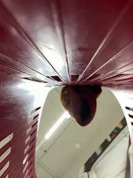 Chat XXX en directo de eveangelll