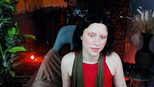 LidaDarknet webcam show