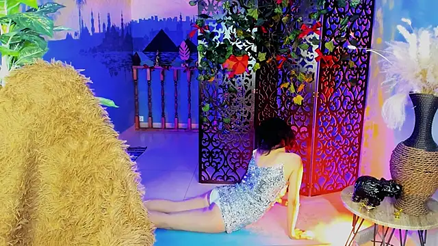 LidaDarknet Webcam Show