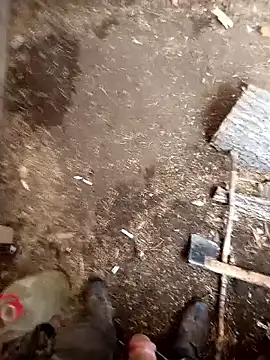 Yaramaz331's Live XXX Chat