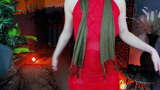 Show de webcam de LidaDarknet