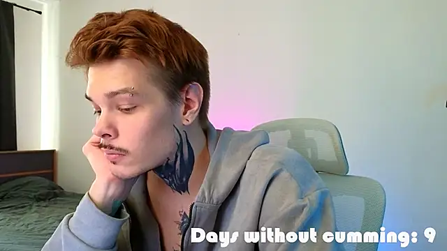 DENIS_HEREn Webbikameraesitys