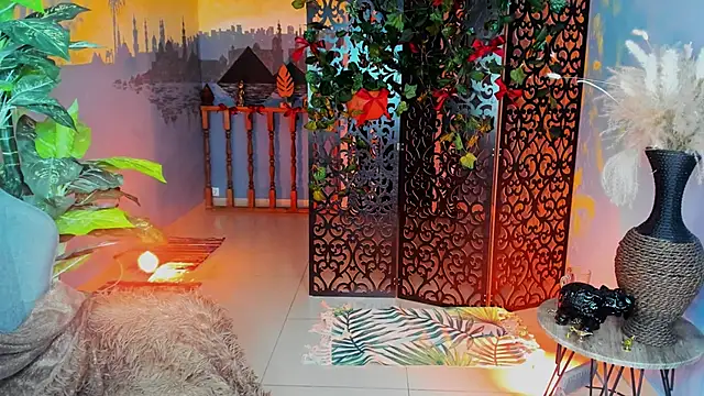 LidaDarknetn Webbikameraesitys