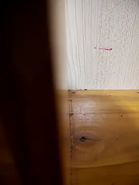 Chat XXX ao vivo de daisylouis