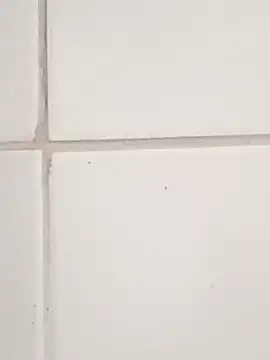 Show de webcam de Misterymem63