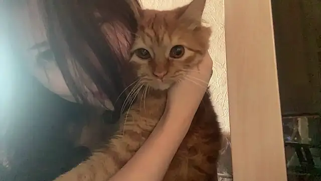 Aliceqte's Live XXX Chat