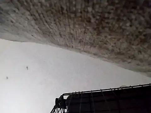 247Srokin 现场XXX聊天