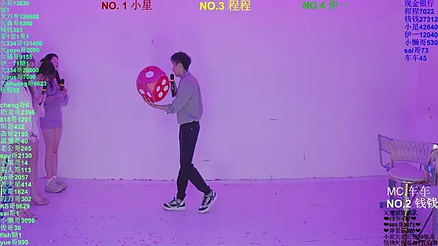 ZZ000S33 Webcam-Show