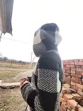 Anita-Smith Chat XXX live