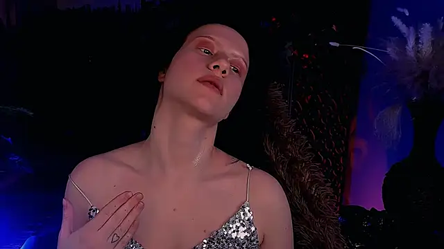 LidaDarknet Webcam Show