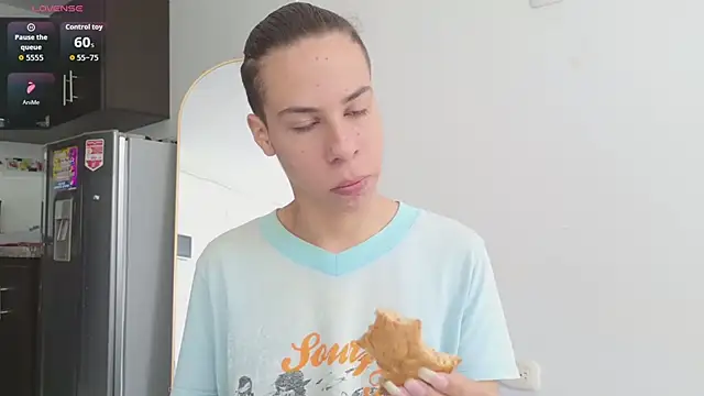 grey___27 Show in webcam