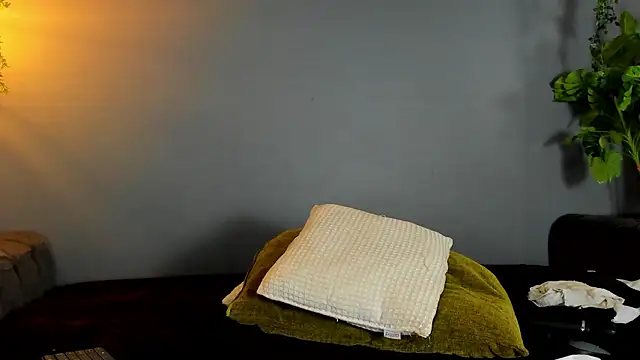 Kira_Exe_ Adlı Modelin Canlı XXX Sohbeti