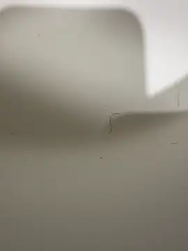 Show Webcam de Zdor90