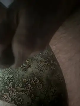 zozo971008 élő XXX-chatje