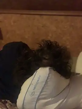 Show Webcam de Ldnick69