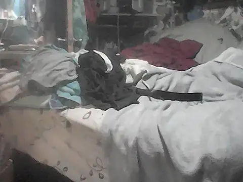 XXX chat uživo modela Twoslipperywhenwett