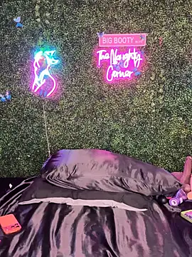 Pertunjukan Kamera Web RenaThickAss