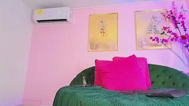 Show webcam de blaisysmith