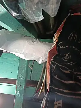 Pertunjukan Kamera Web Ayetun008