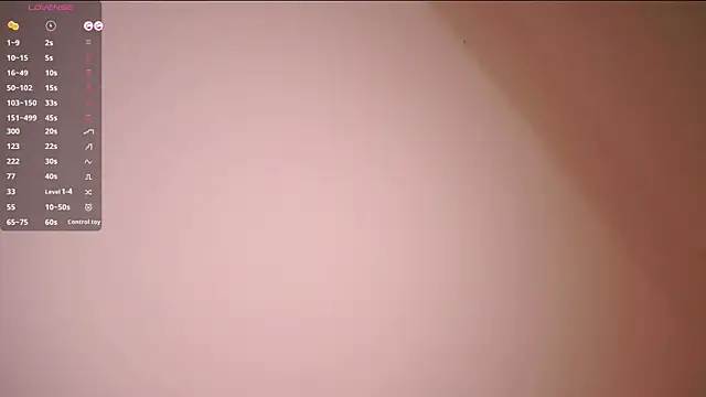 Show webcam de BertaForth